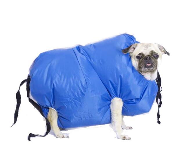 Hot Dog Dryer Makes Dog Drying Fast and Easy After A Bath S M L Size for Small Large Dogs