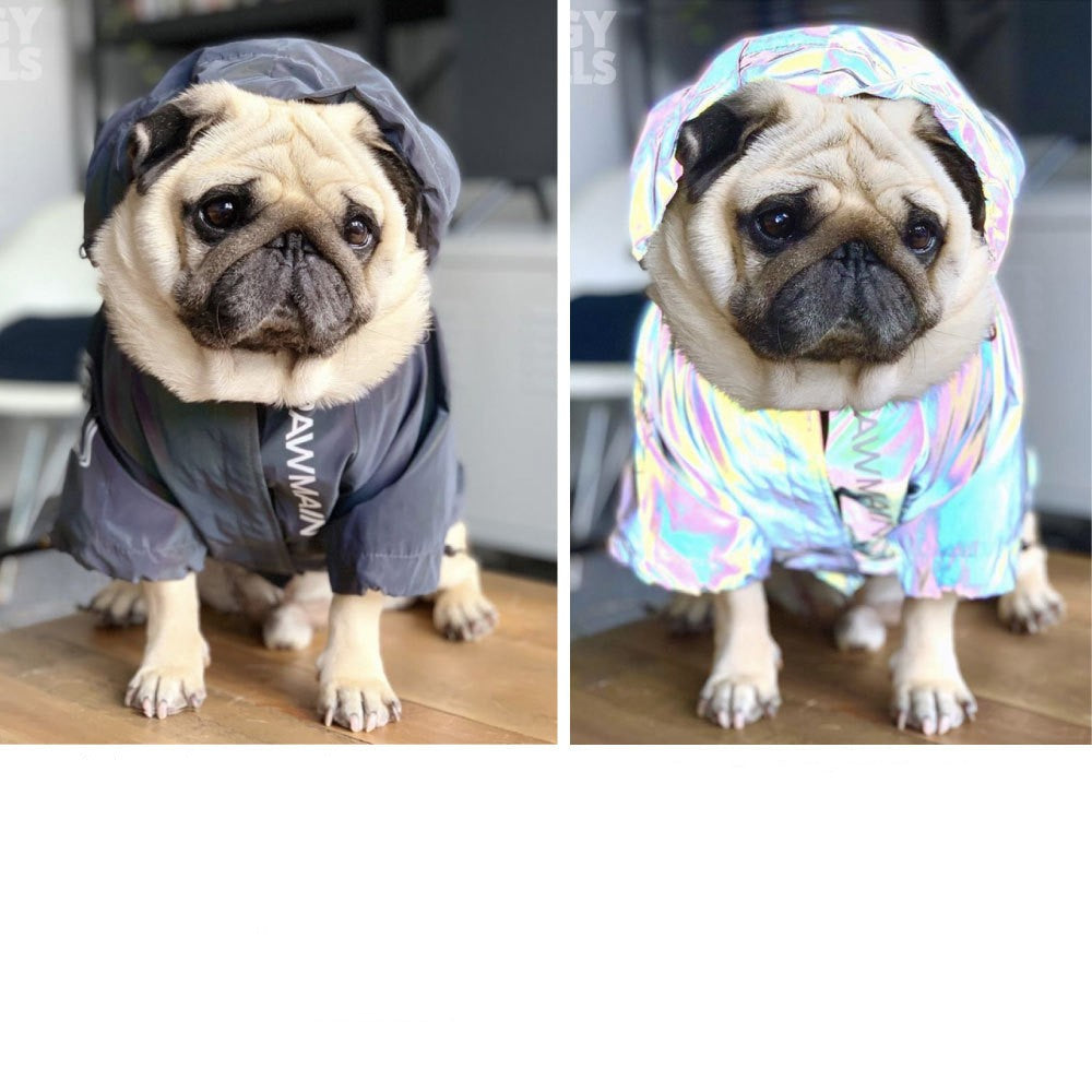 Windproof and Rainproof Stormtrooper Coat North Dog Face for Medium Large Dog