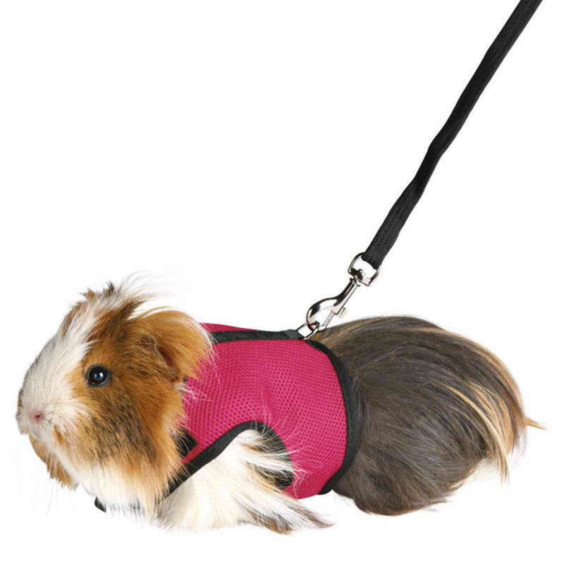 Bunny Hamster clothes harness leash