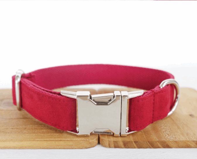Pet Traction Dog Collar