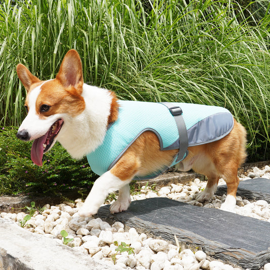 Pet Dog Clothing Cooling Summer Vest for Hot Heat