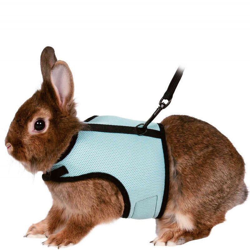 Bunny Hamster clothes harness leash
