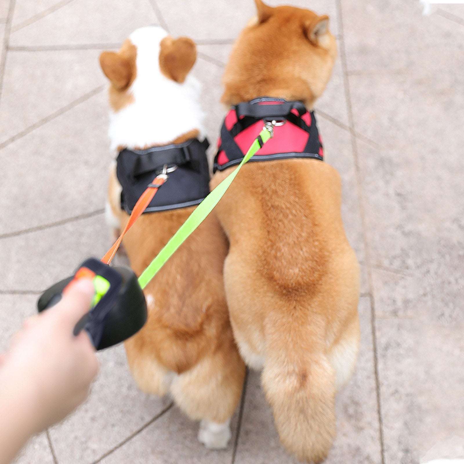Retractable Dual Double Pet Rope Leash Tangle Free Walk For Two Dogs