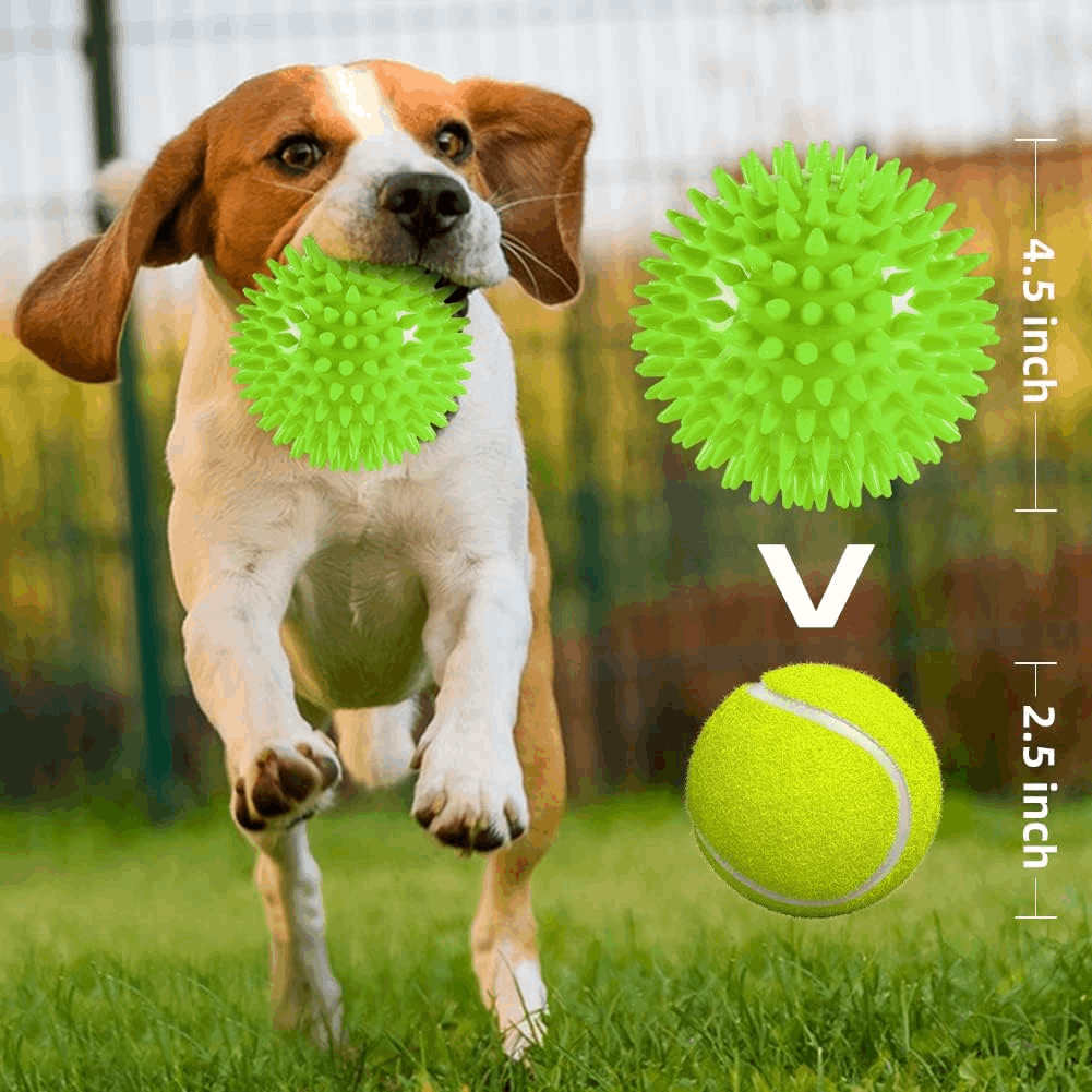 2.5” Squeaky Interactive Dog Balls for Puppy Teething Chew Toys for Small Dogs for Clean Teeth and Training