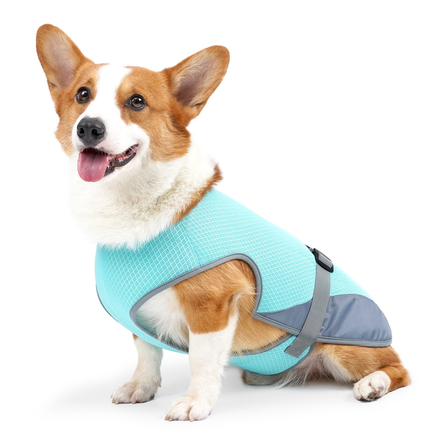 Pet Dog Clothing Cooling Summer Vest for Hot Heat