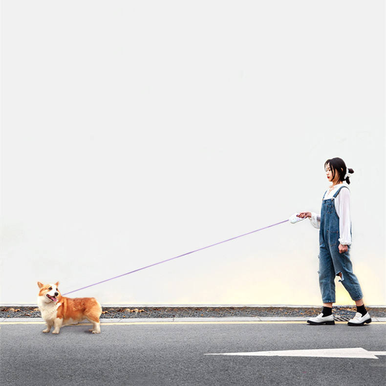 Glowing Automatic Retractable Dog Rope Pet Leash