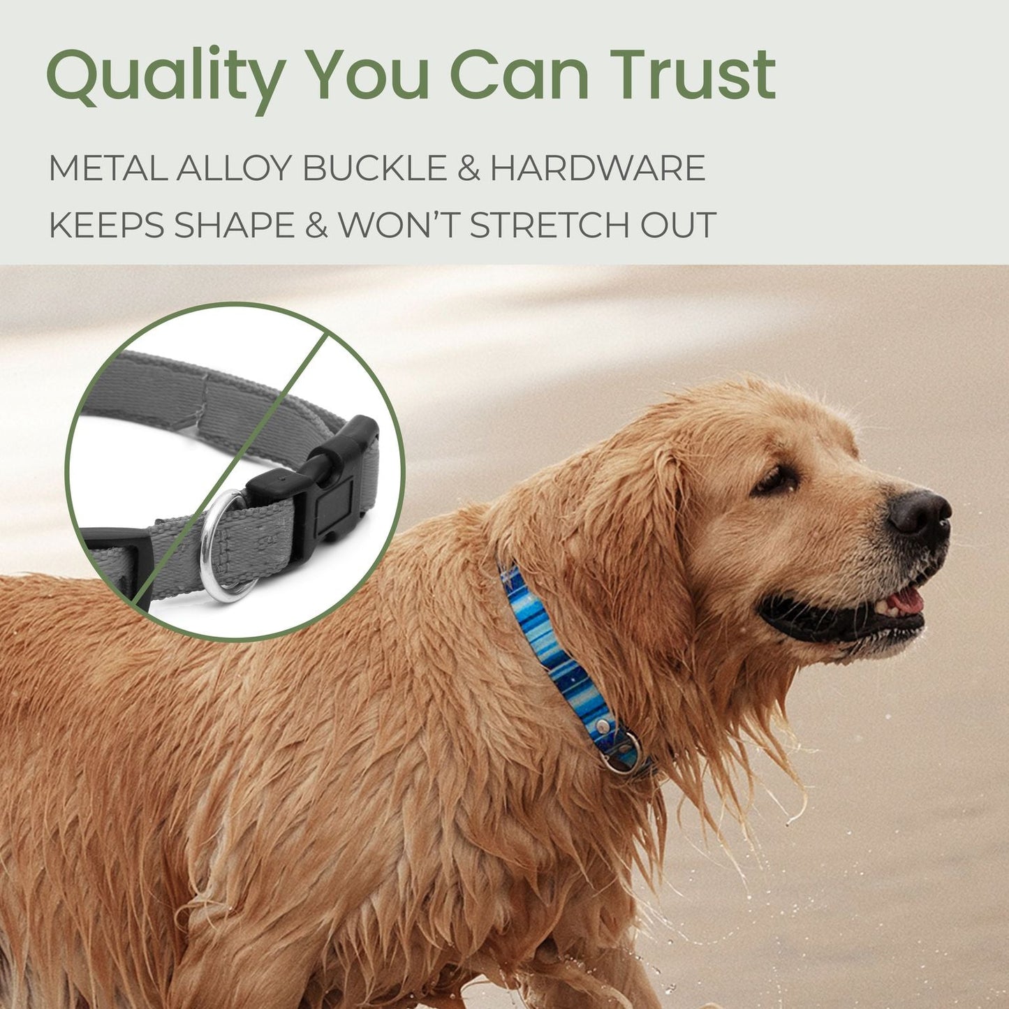 Waterproof Dog Collars – Washable Dog Collar, Stink-Proof & Durable