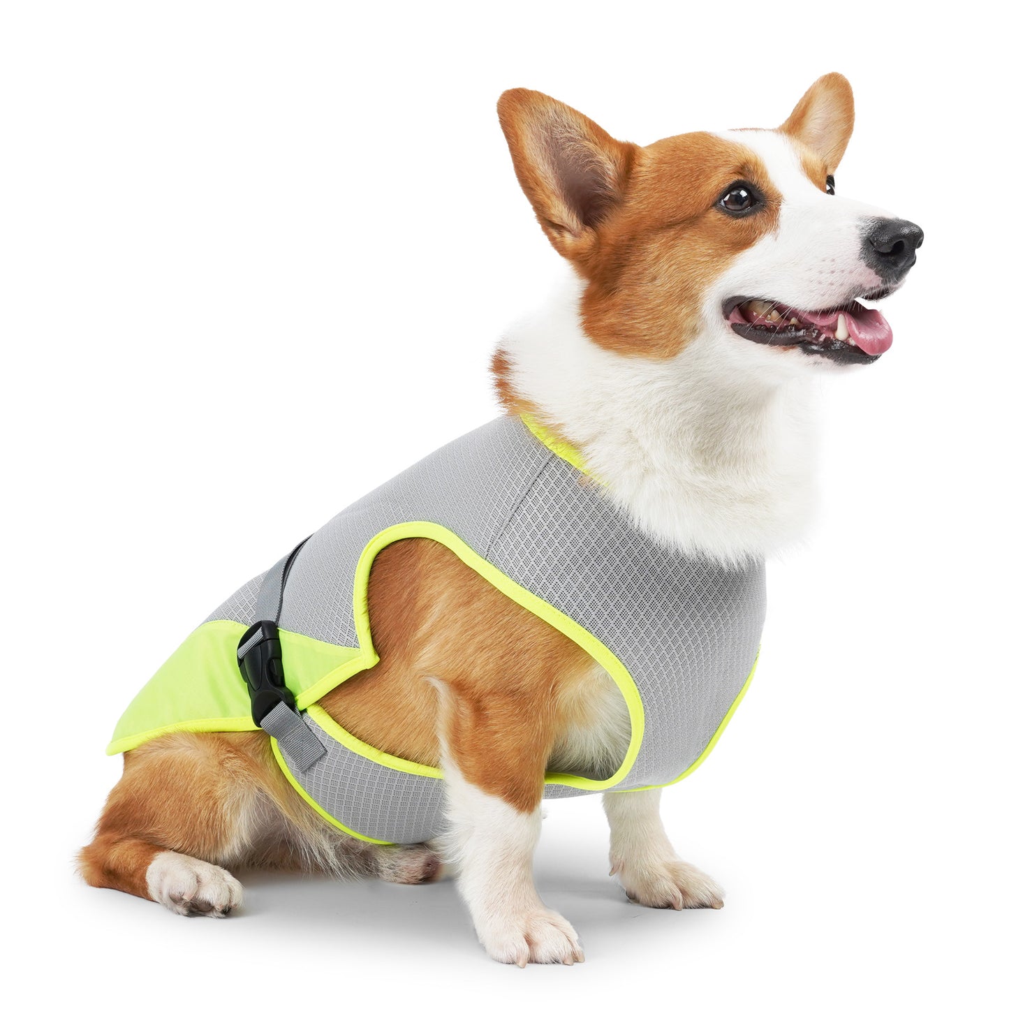 Pet Dog Clothing Cooling Summer Vest for Hot Heat