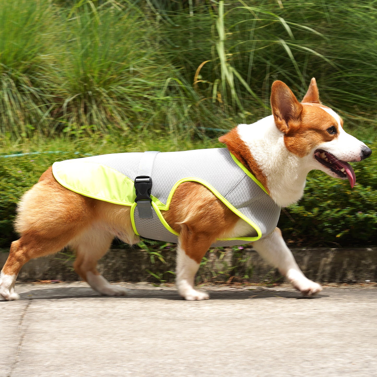 Pet Dog Clothing Cooling Summer Vest for Hot Heat