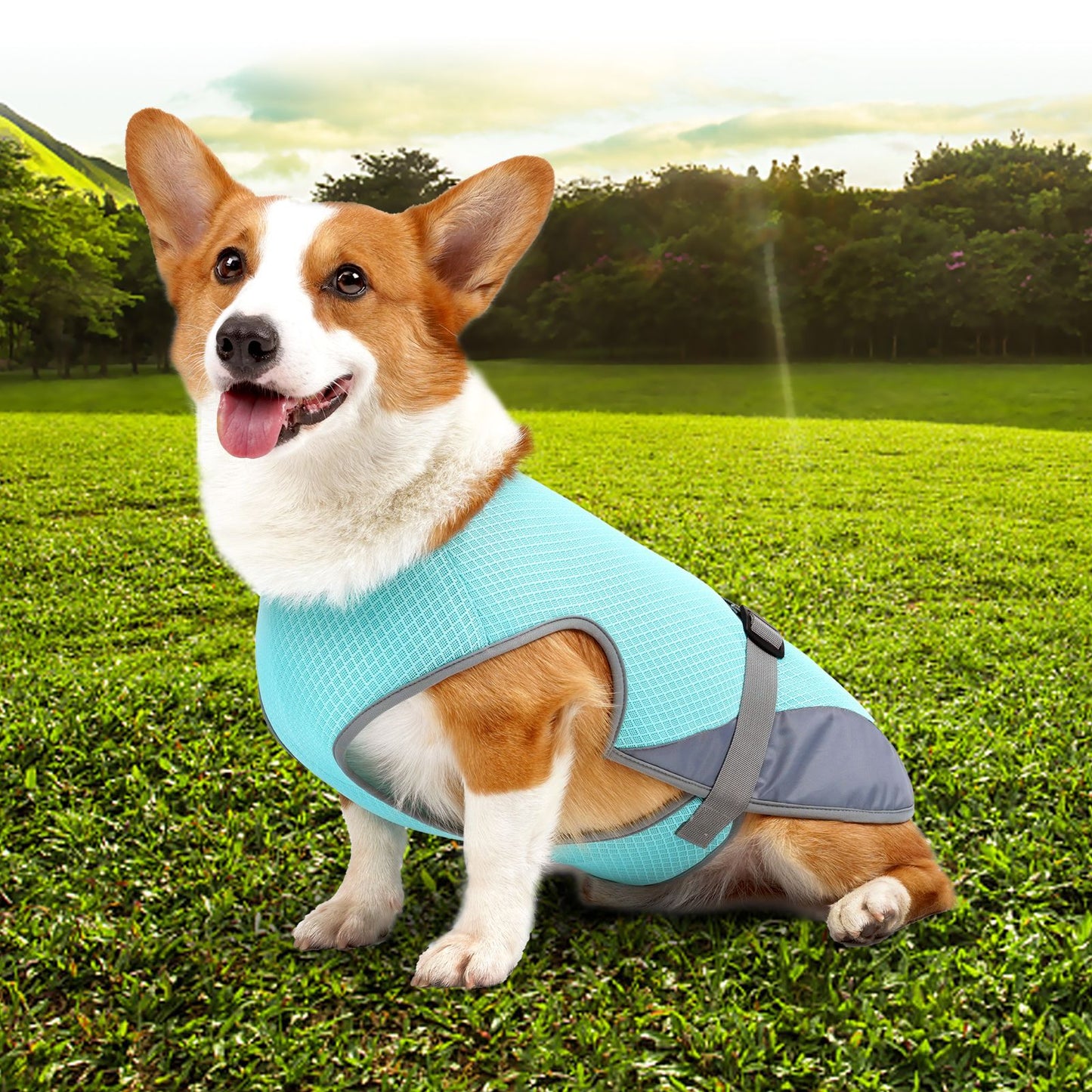 Pet Dog Clothing Cooling Summer Vest for Hot Heat