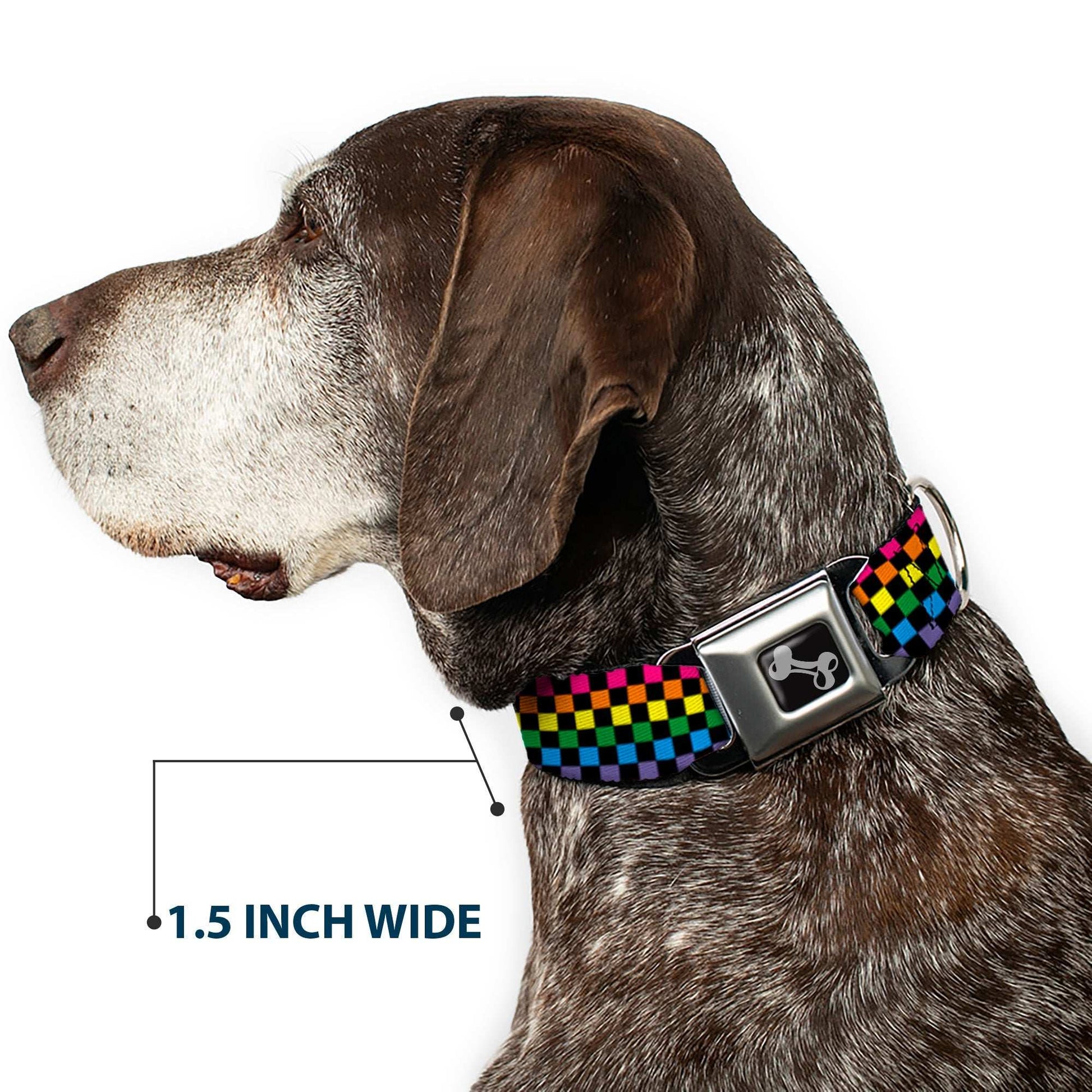 Dog Bone Seatbelt Buckle Collar - Checker Black/Neon Rainbow