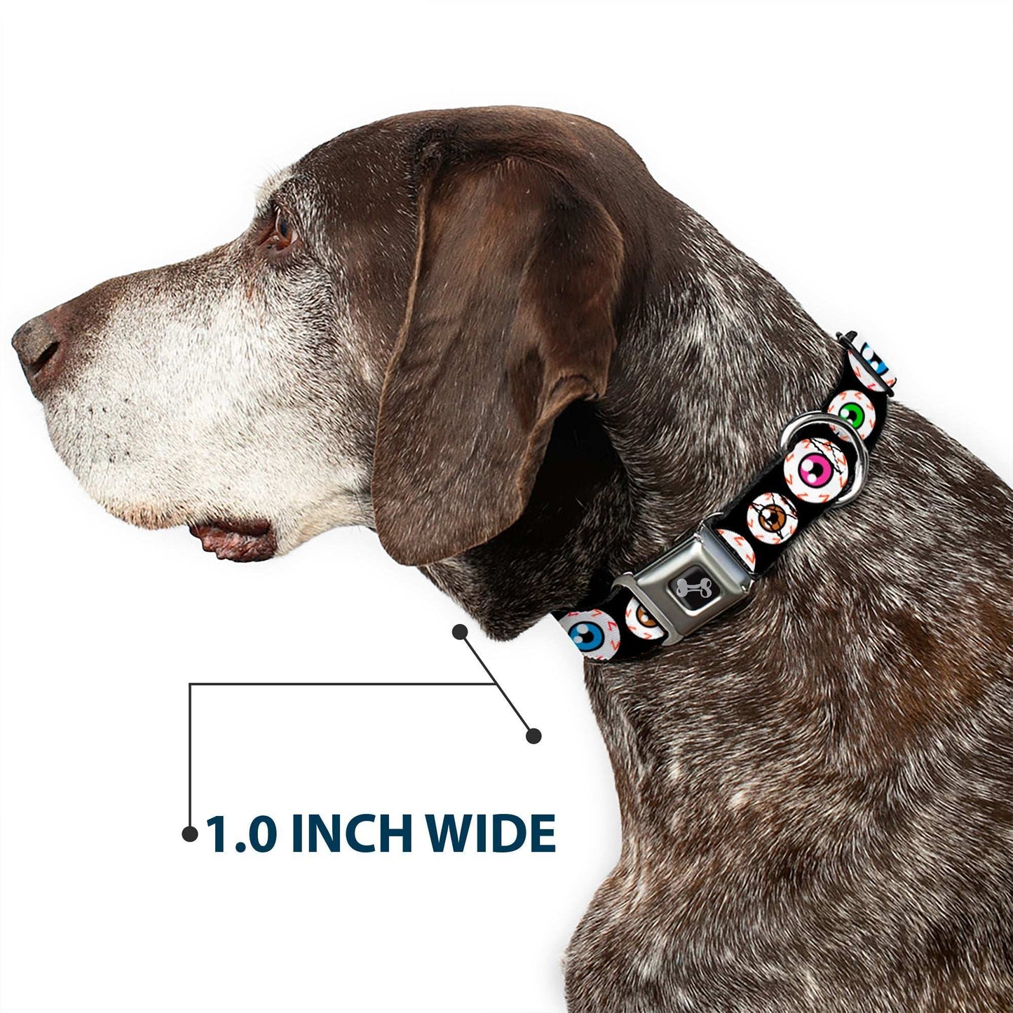 Dog Bone Seatbelt Buckle Collar - Eyeballs Black/Multi Color