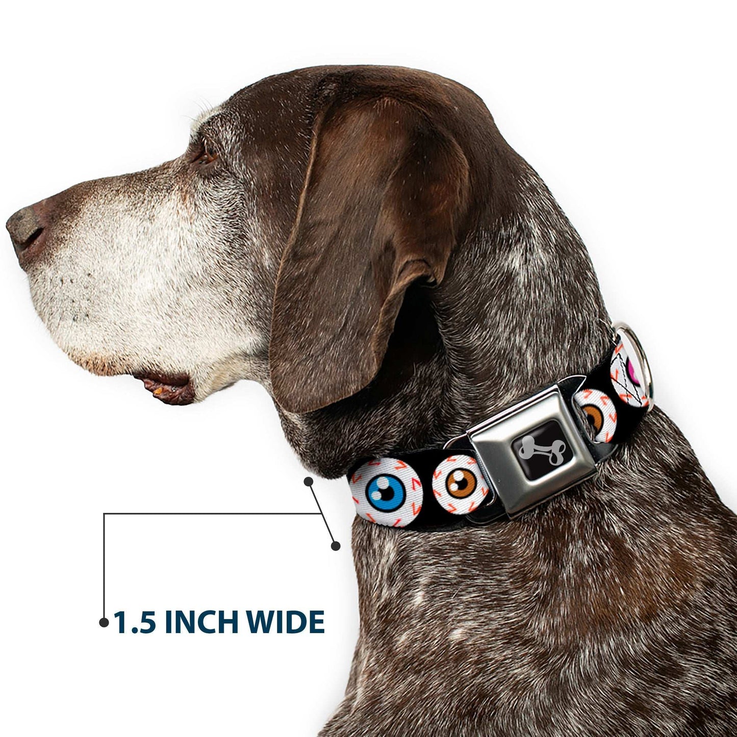 Dog Bone Seatbelt Buckle Collar - Eyeballs Black/Multi Color