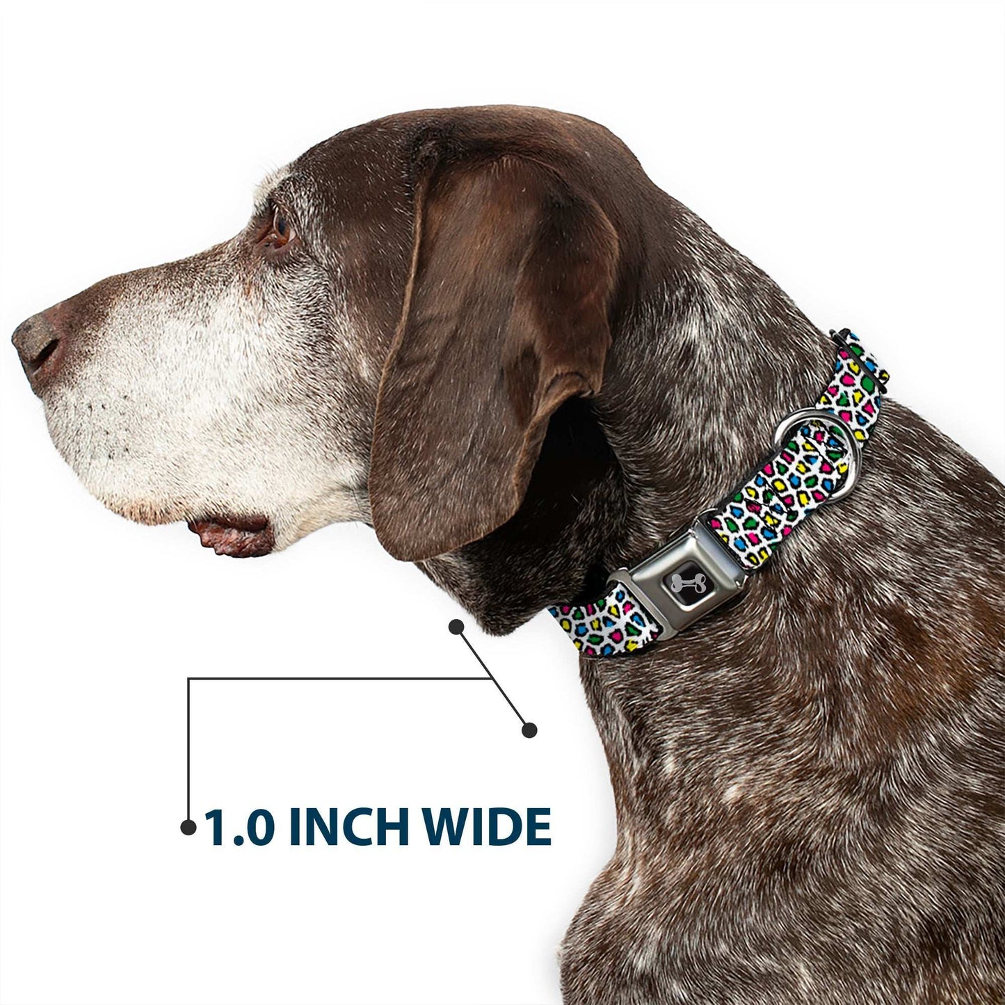 Dog Bone Seatbelt Buckle Collar - Leopard White/Multi Color