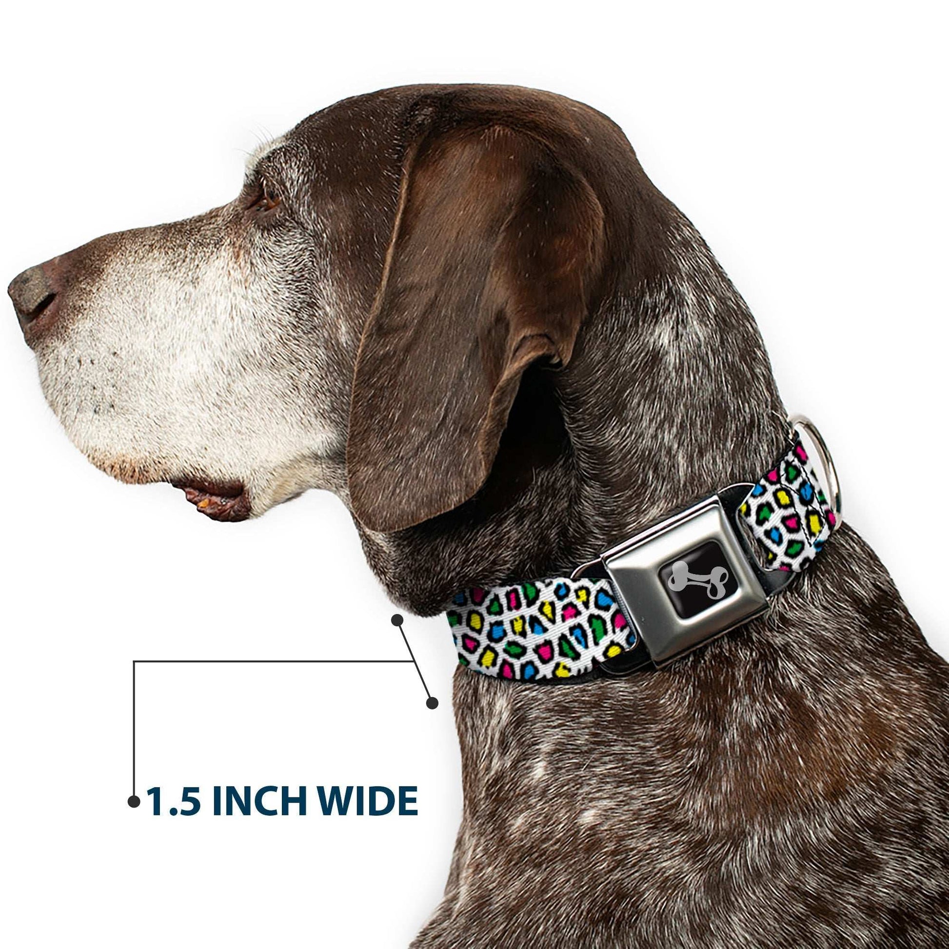 Dog Bone Seatbelt Buckle Collar - Leopard White/Multi Color