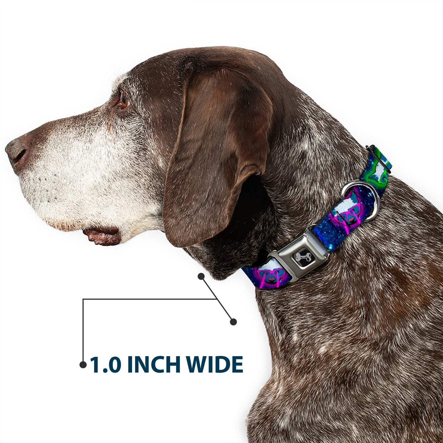 Dog Bone Seatbelt Buckle Collar - Laser Eye Cats in Space