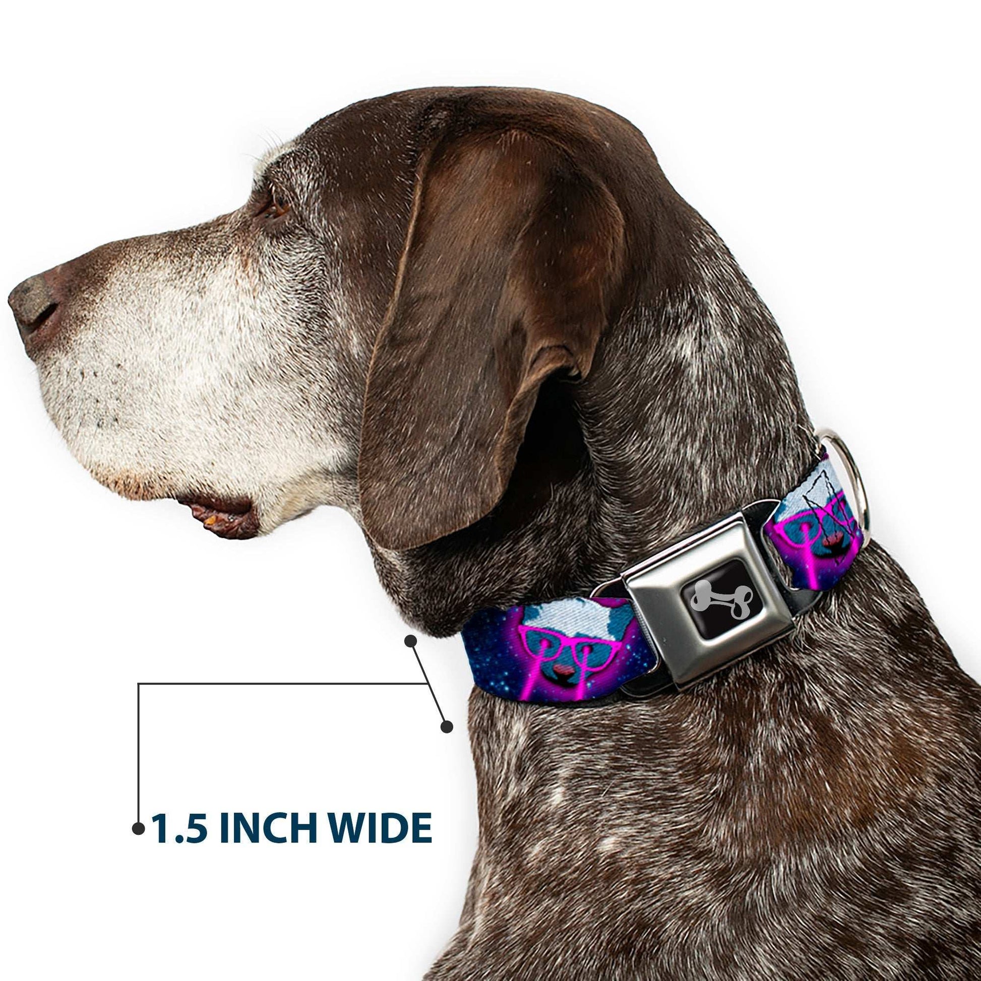 Dog Bone Seatbelt Buckle Collar - Laser Eye Cats in Space
