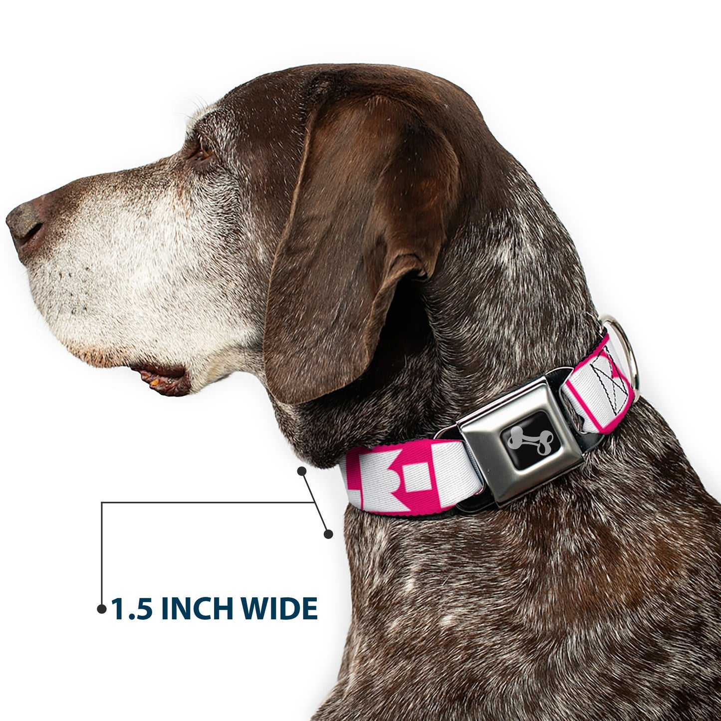 Dog Bone Seatbelt Buckle Collar - BUCKLE-DOWN Shapes Hot Pink/White