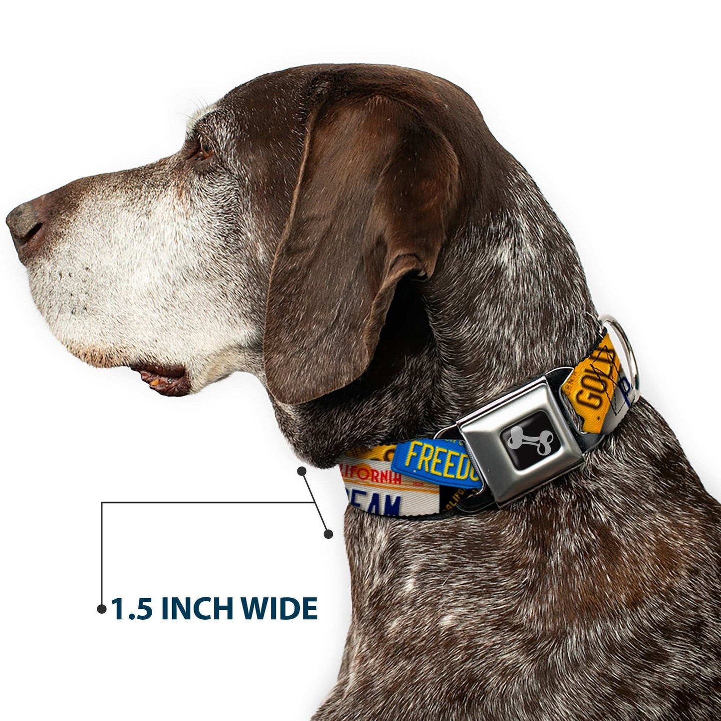 Dog Bone Seatbelt Buckle Collar - Cali License Plates Stacked
