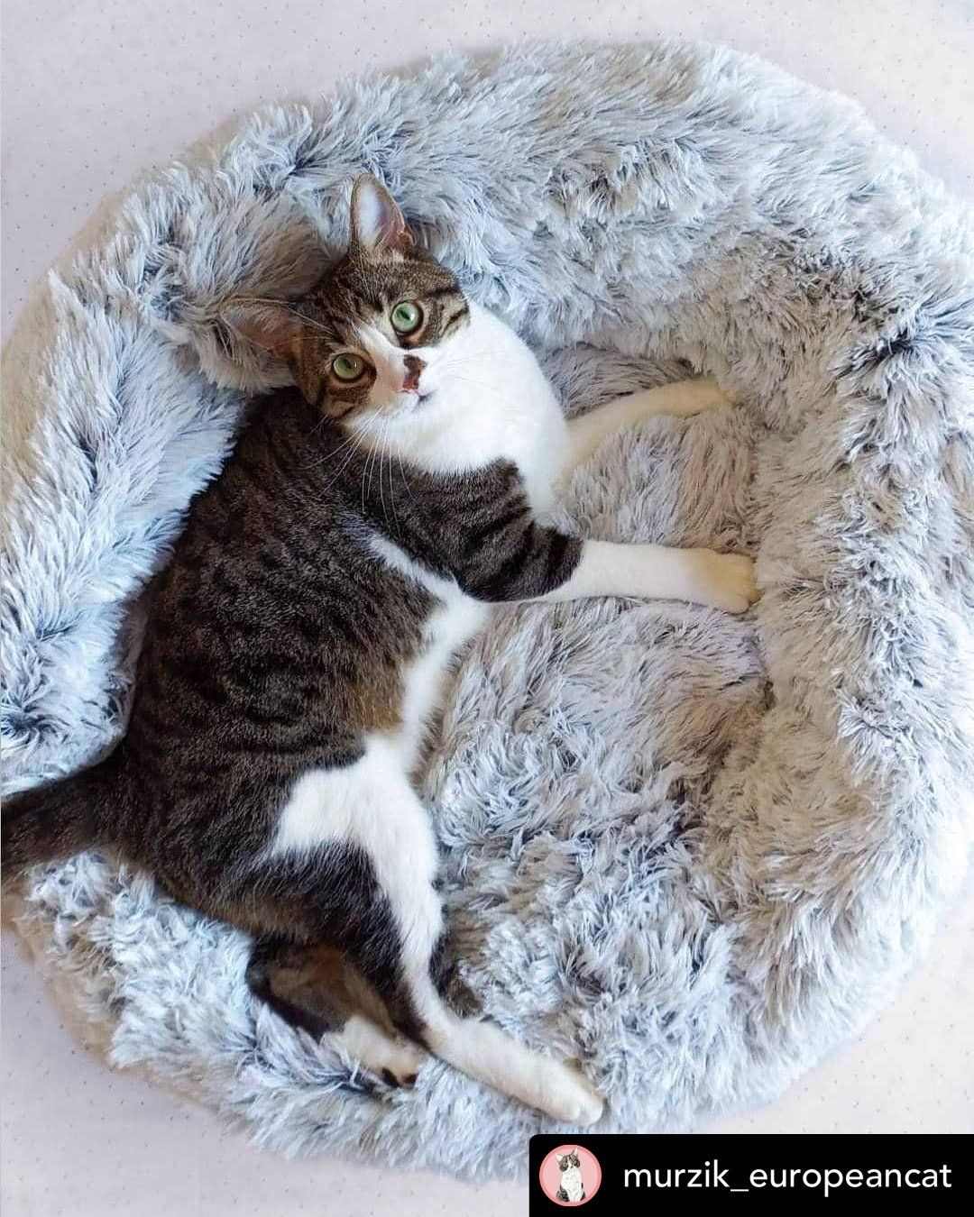 28" Ortho Plush® Pet Bed - Snowflake White Two Tone