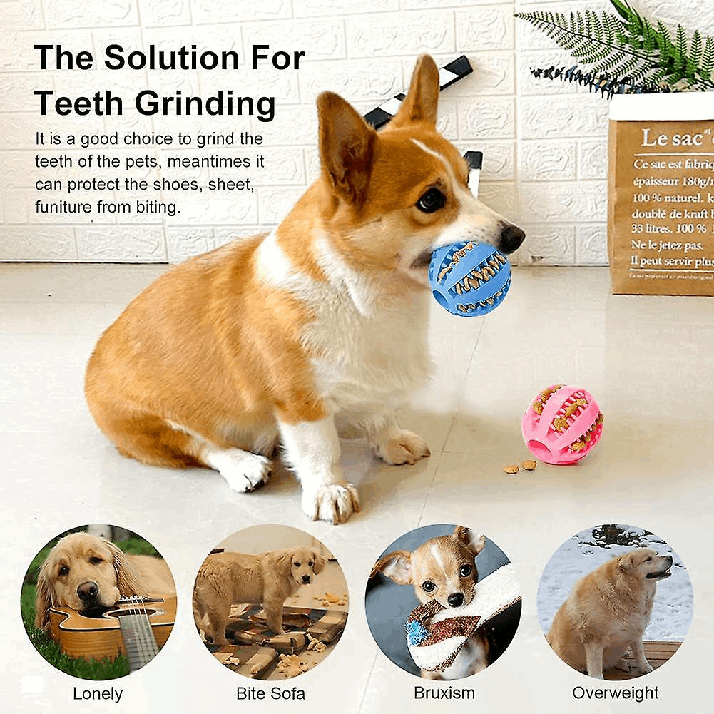 Dog Treat Toy Ball, Dog Tooth Cleaning Toy, Interactive Dog Toys Pack of 2