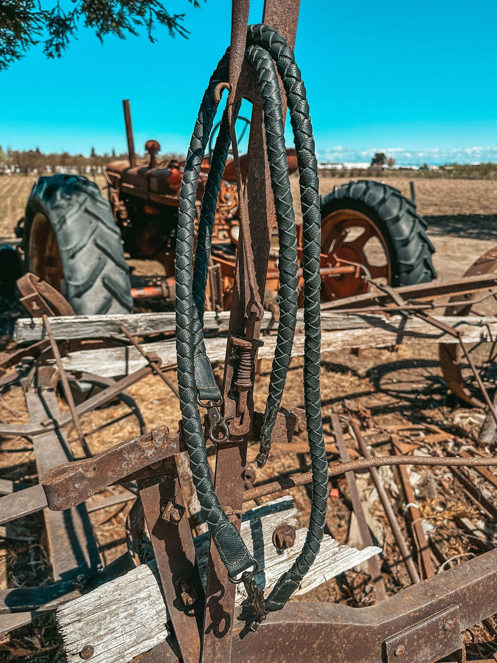 The Xia by Beth Marie Exclusive