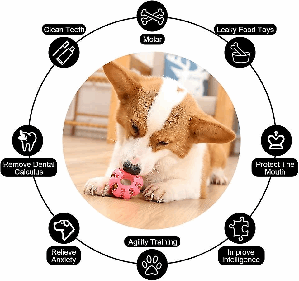 Dog Treat Toy Ball, Dog Tooth Cleaning Toy, Interactive Dog Toys Pack of 2